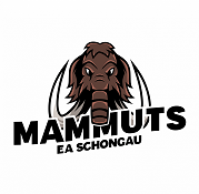 EA Schongau