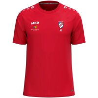 Trainingstrikot