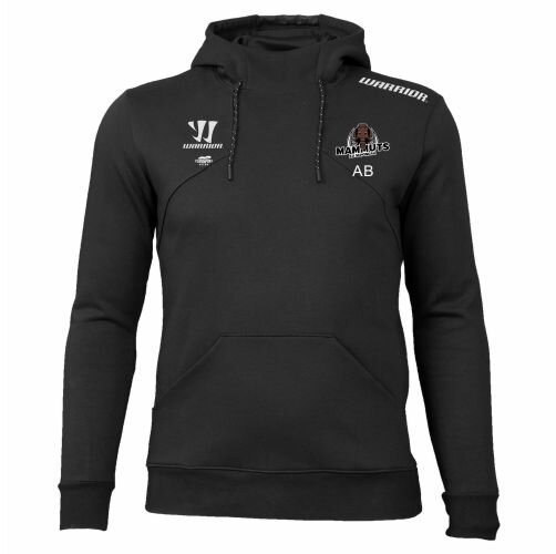 Alpha X Aspire Hoodie XLB