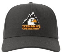 Snapback-Cap (gebogen)