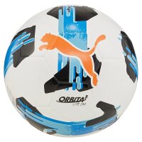 Trainingsball