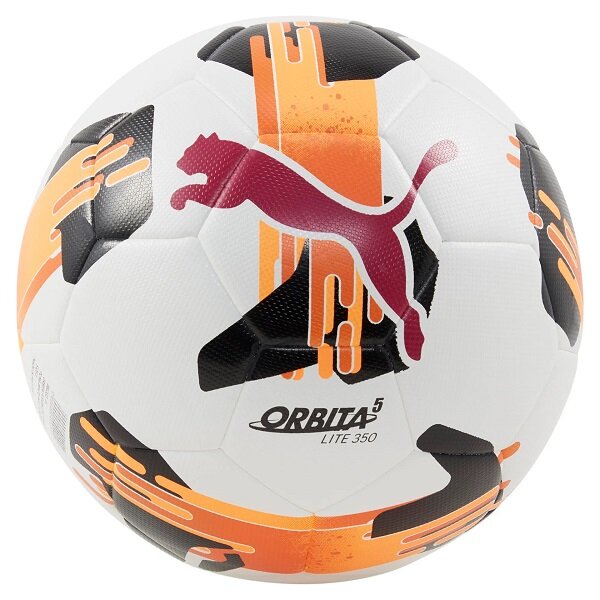 Trainingsball Gr. 4 350g