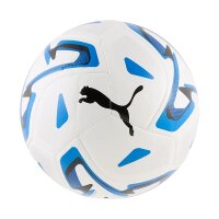 Trainingsball Gr. 5 410g