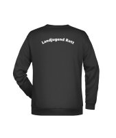 Sweatshirt Herren