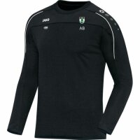 Trainingssweater 152